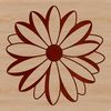 Free White Daisies Vector Image A single white daisy with yellow petals on a transparent background.