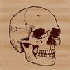 Vector Skull Design An isolated vector graphic of a skull for various uses including crafting, design projects, and commercial applications.