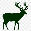 Creative Deer Drawing In PDF For Free Download