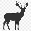 Unique Deer Illustration