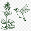 Vibrant Bird in Floral Perch A colorful hummingbird perched on a floral branch, illustrated in vector format.