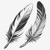 Delicate White Feather Design A single white bird's feather with detailed texture and structure, created as a scalable vector graphic (SVG) design.