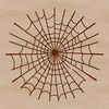A high-quality vector illustration of a delicate spider web with intricate details.