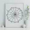 A detailed vector illustration of a spider web in various lines and patterns.
