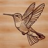 A colorful hummingbird in mid-air, its wings beating rapidly as it flies.