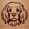 Free Vector Pet Art Close-up illustration of a Cocker Spaniel's head, highlighting its breed-specific features and characteristics.