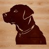 Labrador Facial Portrait A high-quality SVG image of a Labrador dog's facial features.