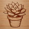 Thick Stems and Leaves Design A succulent plant with thick fleshy leaves in a desert environment.