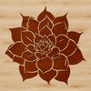 Desert Delight Succulent A succulent plant with thick, fleshy leaves and a small stem, commonly found in desert regions.