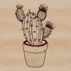 A detailed illustration of a cactus plant with waxy stems and sharp spines, suitable for vector graphics and design projects.