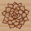 Illustration of a succulent plant in a simple design suitable for vector art and graphic design projects.