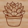 Vector illustration of a succulent plant with fleshy leaves.