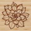 An illustration of a desert-dwelling succulent plant, ideal for gardening designs or digital projects.