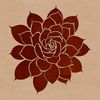 Succulent Illustration A vector graphic representation of a succulent, suitable for digital design projects.