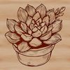 Green Succulent Design A vector design of a succulent plant with green stems and plump, rounded leaves in a simple style.