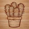 A detailed illustration of a desert plant with sharp spines, commonly found in arid regions.