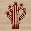 A single green cactus plant with sharp spines in a natural setting.