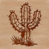 A detailed illustration of a cactus plant, ideal for gardening and nature designs.