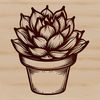 A vector graphic representation of a succulent plant commonly found in arid regions.