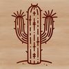 A stylized illustration of a cactus plant in a simple design format.