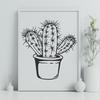 Free Cactus PNG