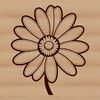 A high-quality illustration of a daisy flower in a vector format.