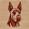 Vector Dog Illustration - Free Download An illustration of a Doberman Pinscher's head, created as vector art.