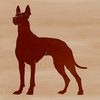 Doberman Pinscher Dog Breed Illustration A standing Doberman Pinscher breed dog animal in high-definition vector format.