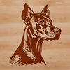 A detailed illustration of a Doberman Pinscher's head, ideal for vector design projects.