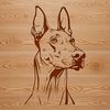 Stunning Breed Dog Vector Image A digital illustration of a Doberman Pinscher's head with detailed features and realistic textures.