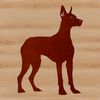 A standing Doberman Pinscher breed of dog in vector format.