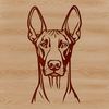 A high-quality illustration of a Doberman Pinscher's head, suitable for vector design projects.