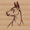 Simple Dog Portrait in Vector Format A simple line drawing of a Doberman Pinscher dog's head in vector format.