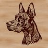 Doberman Pinscher Vector Portrait An ornate design featuring the head of a Doberman Pinscher as a vector art image.