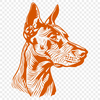 Stunning Doberman Pinscher - For Laser Project