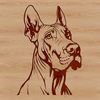 Large breed dog with distinctive head and features.