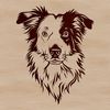 Aussie Headshot Illustration Close-up of a Australian Shepherd's head with distinctive facial features.