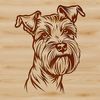 Miniature Schnauzer Head Silhouette A close-up illustration of the head of a small-sized dog breed known as a Miniature Schnauzer.