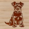 Cute Canine Companion with Distinctive Beard A small breed dog with a distinctive beard and eyebrows, sitting on its hind legs.