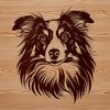 Close-up vector portrait of a Shetland sheepdog breed, suitable for customization and editing.