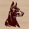 Doberman Pinscher Clip Art Design A high-quality vector illustration of a Doberman Pinscher's head, suitable for digital design projects.
