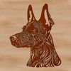 Close-up portrait of an ornate Doberman Pinscher's head, suitable for digital design and cutting machine projects.