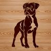A standing adult Boxer dog with a wrinkled face and floppy ears.