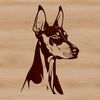 Beautiful Vector Illustration of a Doberman's Head A detailed vector illustration of a Doberman Pinscher's head, suitable for digital design projects.