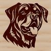 Bold Rottweiler Head SVG Graphic A close-up illustration of a Rottweiler's head, with a bold and rugged texture.