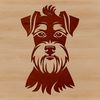 Vector image of a small-sized Schnauzer with a prominent head and expressive eyes.