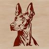 Beautiful Dog Breed Design - Free SVG Download A vector graphic representation of a Doberman Pinscher breed dog's face and skull structure.