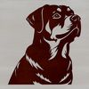 Vector Dog Breed Illustration - Perfect for Graphic Design Rottweiler dog breed illustration in vector format for graphic design and digital art projects.