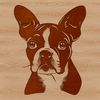 Free Vector Dog SVG Design Template A vector illustration of a smiling Boston Terrier dog with a cute expression.