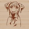 Detailed Great Dane Illustration A detailed illustration of a Great Dane's head, suitable for vector design and cutting machine projects.